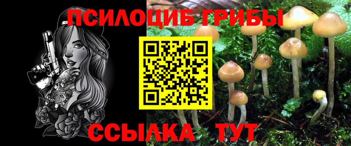 Галлюциногенные грибы Magic Shrooms Усть-Джегута