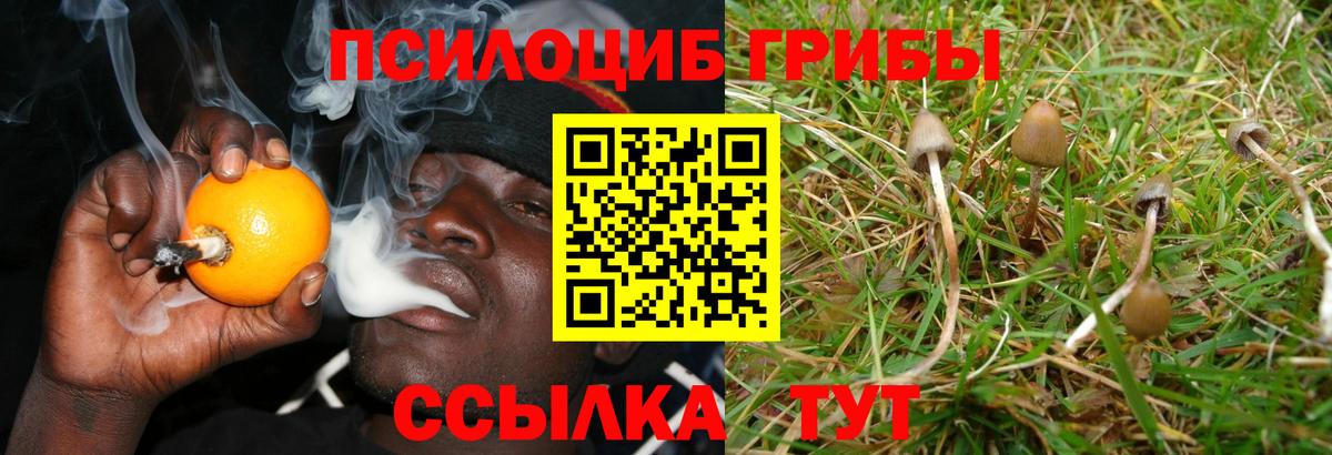 Галлюциногенные грибы GOLDEN TEACHER  Вход с VPN  Усть-Джегута 